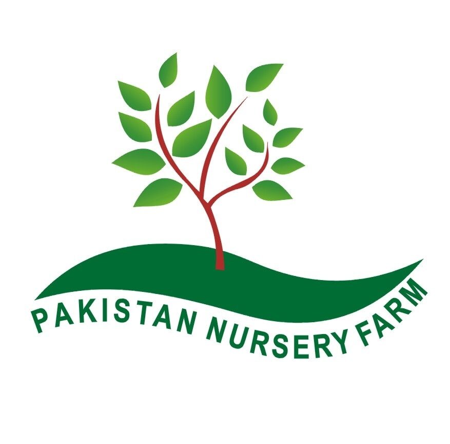 Pakistan Nursery Farm Bhakkar.jpg