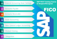 SAP FICO Course in Delhi.png